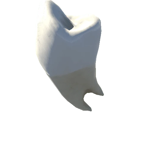 Human_Teeth_Top_4