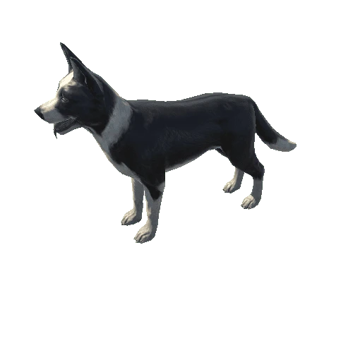 Collie_LowPoly