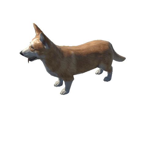 Corgi_LowPoly