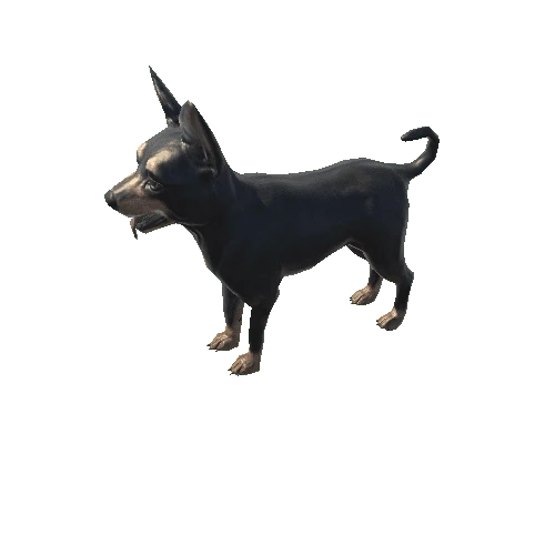 Toy_Terrier_LowPoly