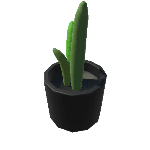 Cactus_01_BlackRound