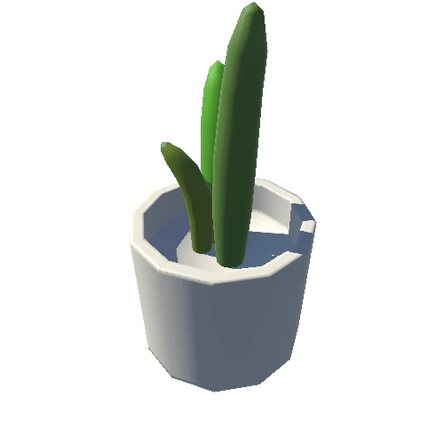 Cactus_01_BlankRound