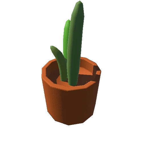 Cactus_01_TerracottaRound