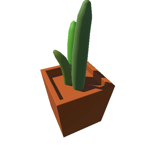 Cactus_01_TerracottaSquare