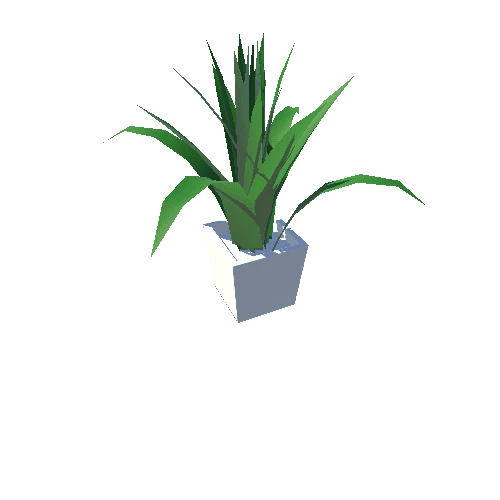 Plant_02_WhiteSquare