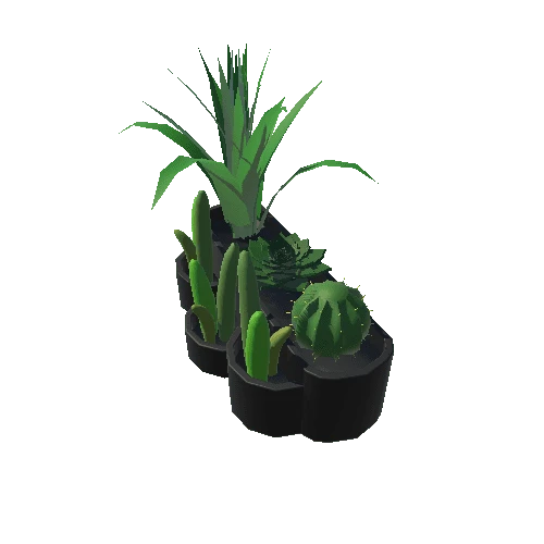 PlantsLarge_BlackRound_1