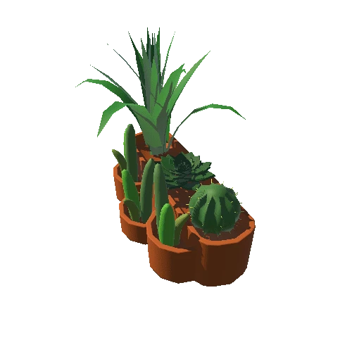 PlantsLarge_TerracottaRound