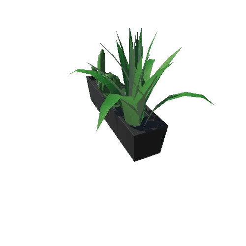 PlantsMed_BlackSquare