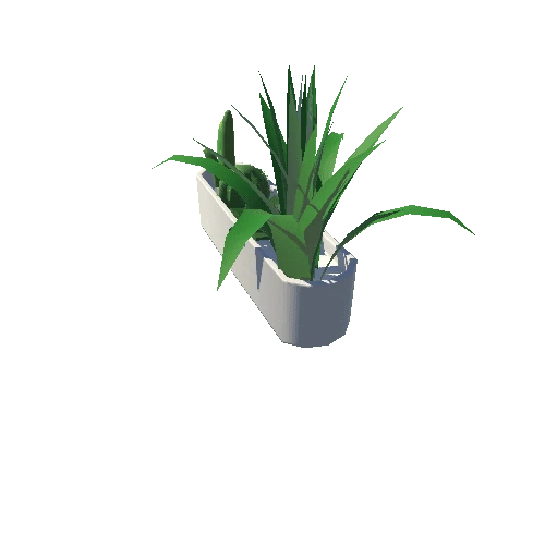 PlantsMed_BlankRound