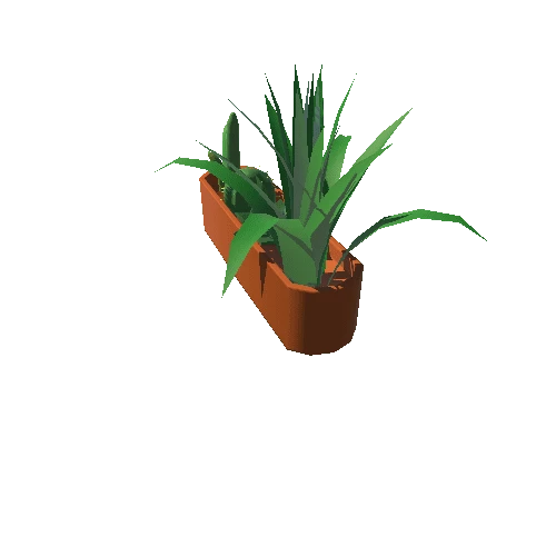 PlantsMed_TerracottaRound