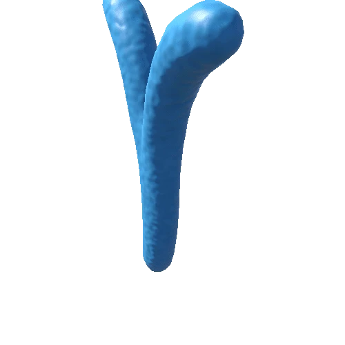 Chromosome_Y