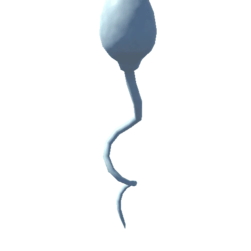 Sperm