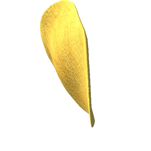 potato_chip_05