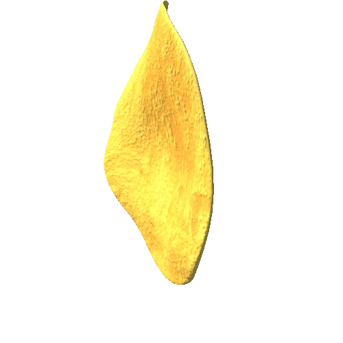 potato_chip_12