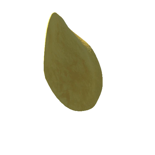 potato_chip_14