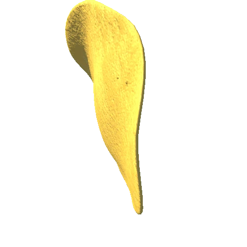 potato_chip_33