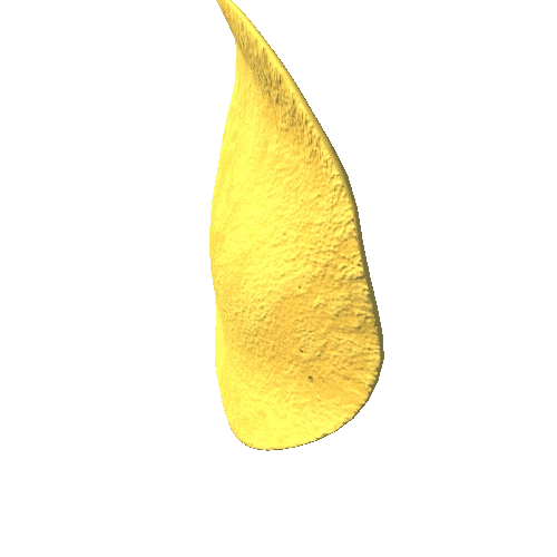 potato_chip_37