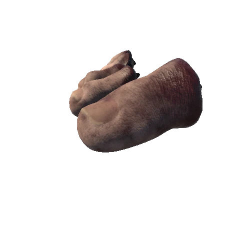 uploads_files_3129045_Severed_Toes_Right_FBX