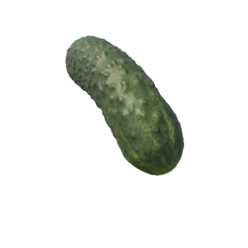 3172585+cucumber02_FBX_2011_vray