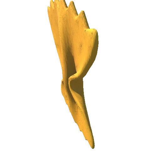 farfalle_01