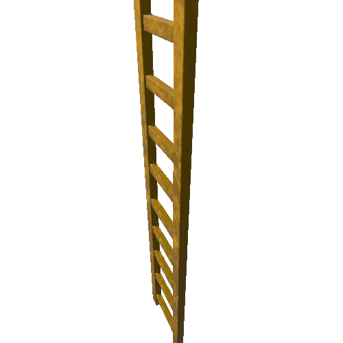 Ladder