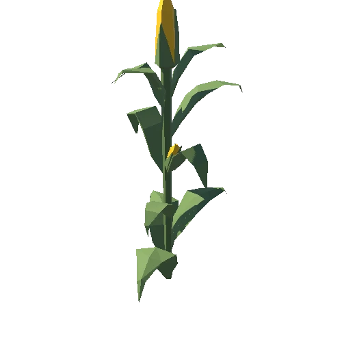 CornPlant_03