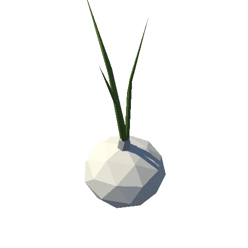 Garlic_01