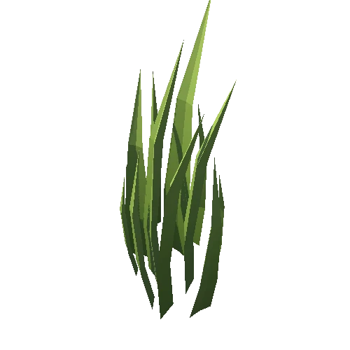 Grass_016