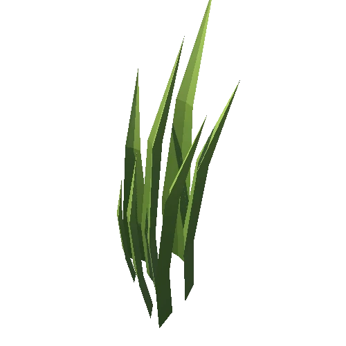 Grass_025