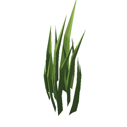 Grass_034