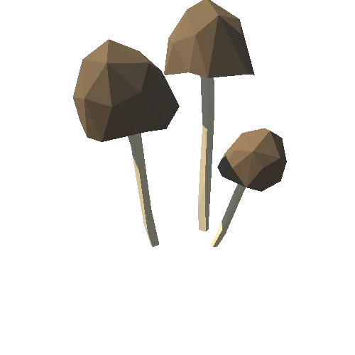 Mushroom_027