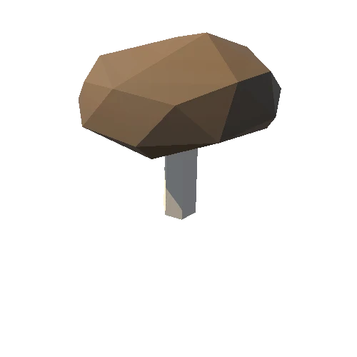 Mushroom_044