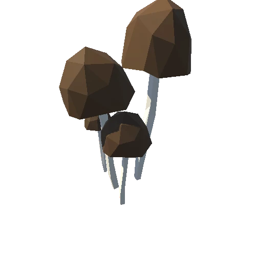 Mushroom_052