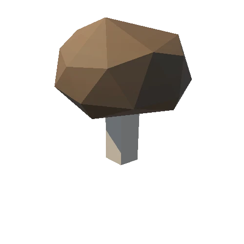 Mushroom_053