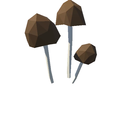 Mushroom_062