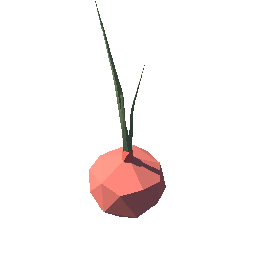 Onion_011