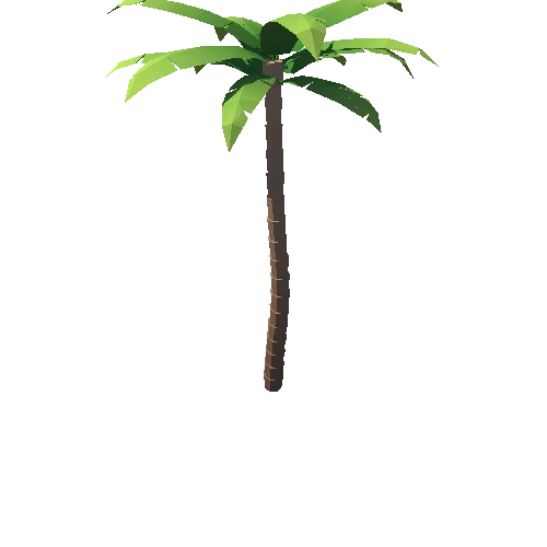 PalmTree_01