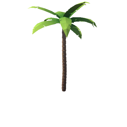 PalmTree_02