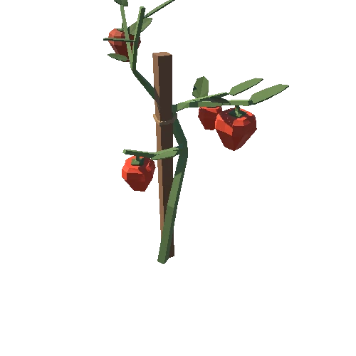 PepperPlant_02_1