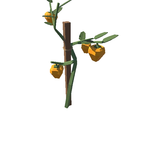 PepperPlant_04_1