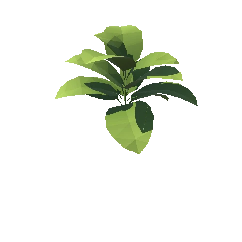 Plant_021