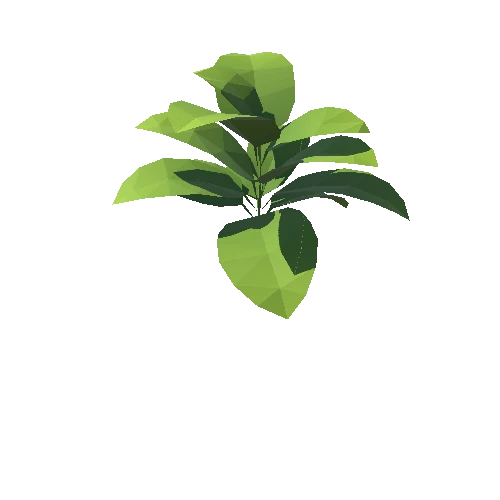 Plant_023