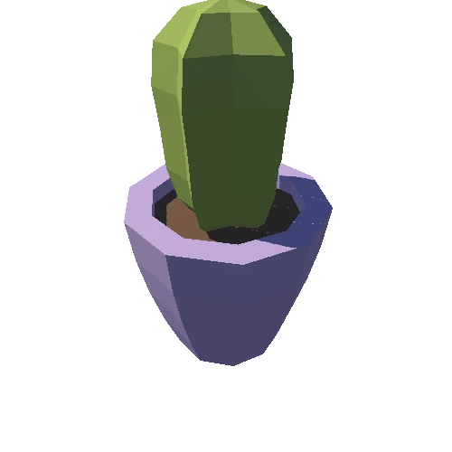 Plant_024