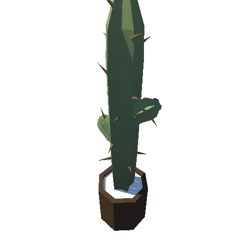 Plant_033