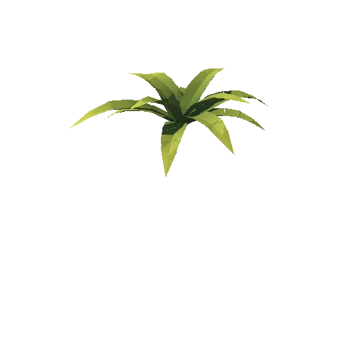 Plant_034