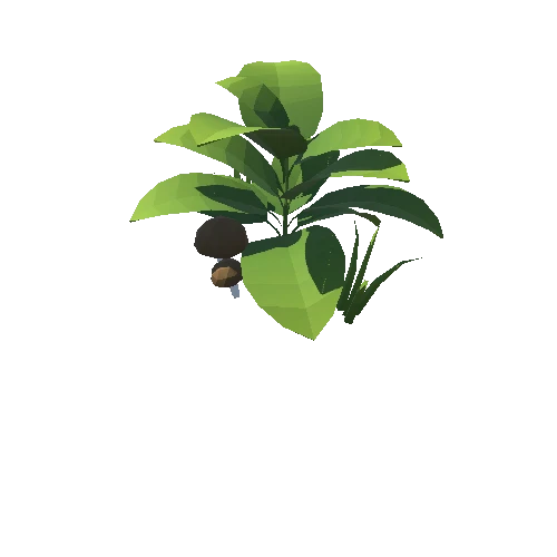 Plant_04