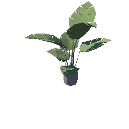 Plant_042