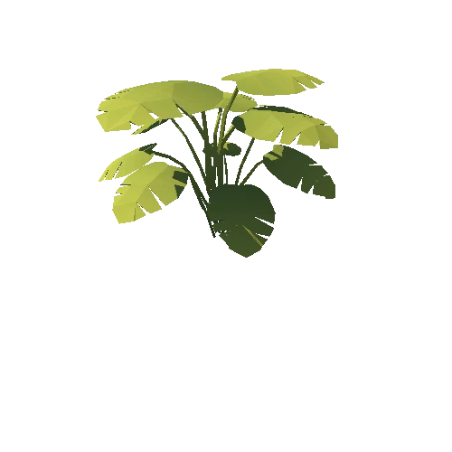 Plant_043