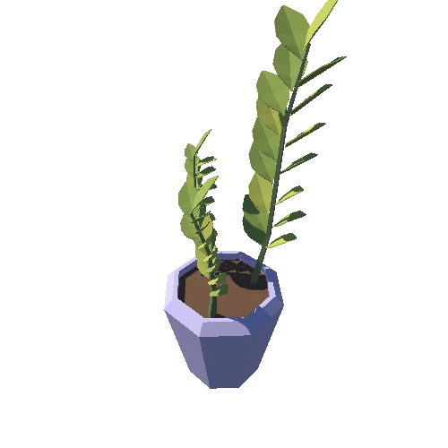 Plant_05