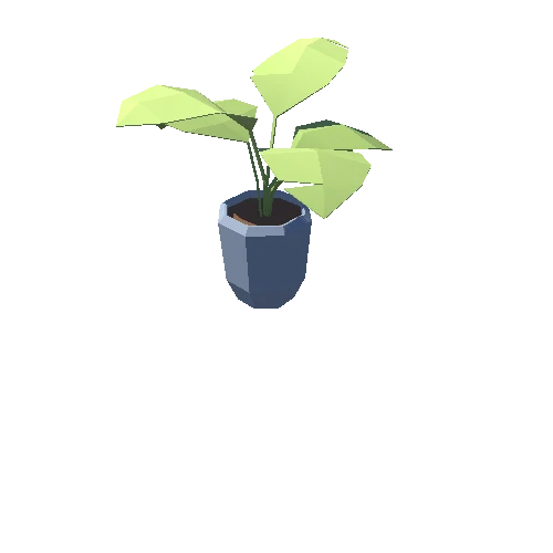 Plant_08